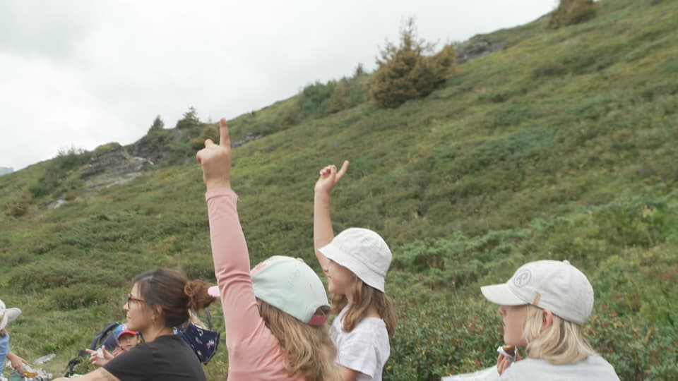 Kinder auf einer Wiese strecken die Hand auf.