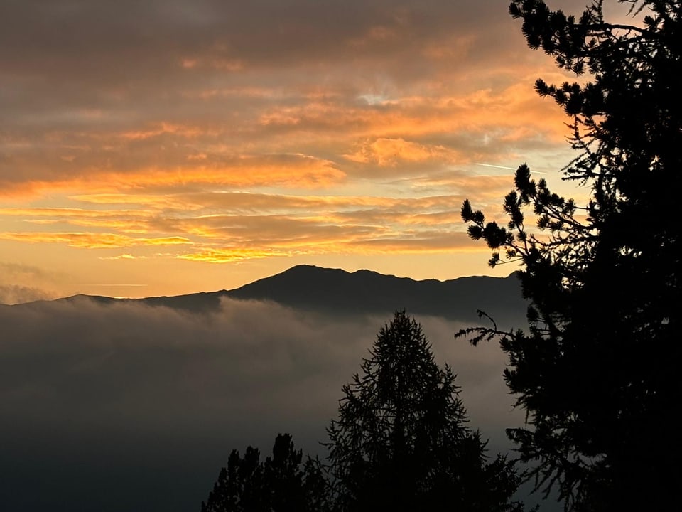 Sonnenaufgang hinter einem Berg mit Bäumen im Vordergrund.