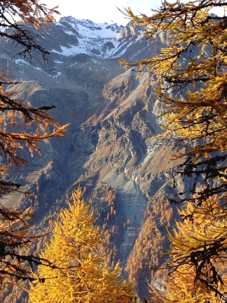 Berglandschaft mit schneebedeckten Gipfeln und herbstlichen Bäumen.