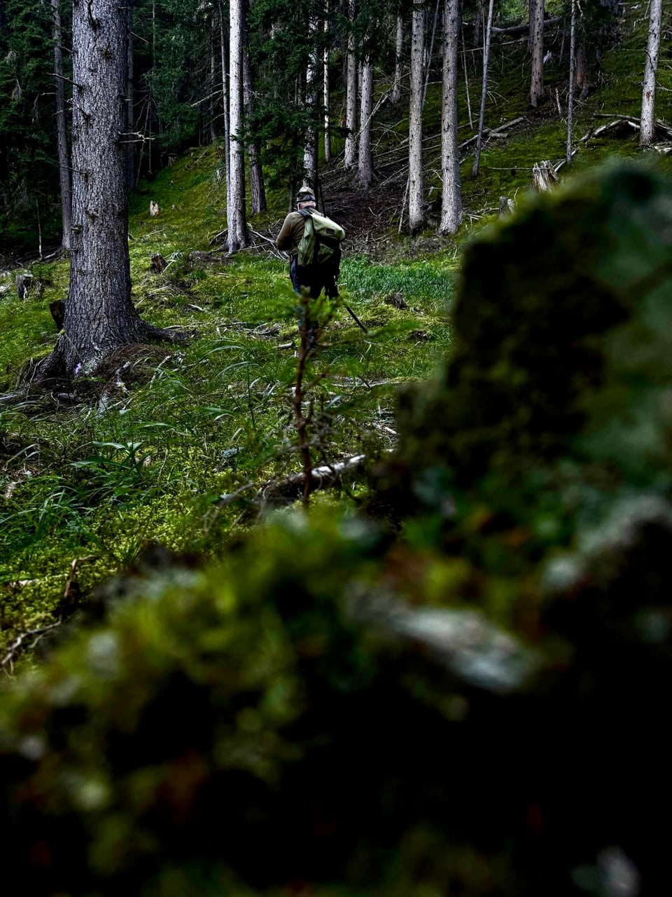 Ein Jäger pirscht durch einen Wald.