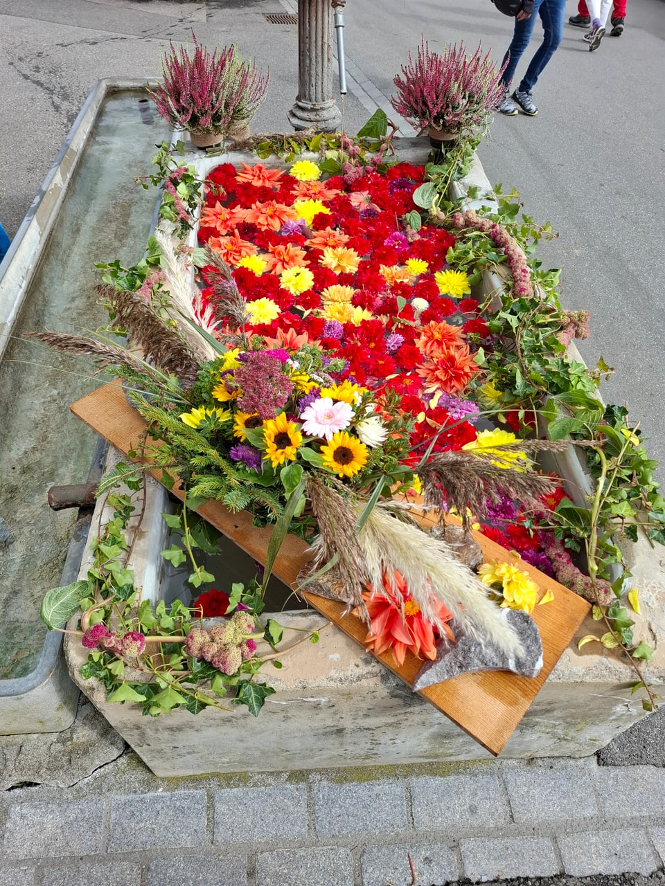 Alpabzug Graubünden Seewis