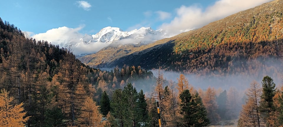 Herbstfotografie