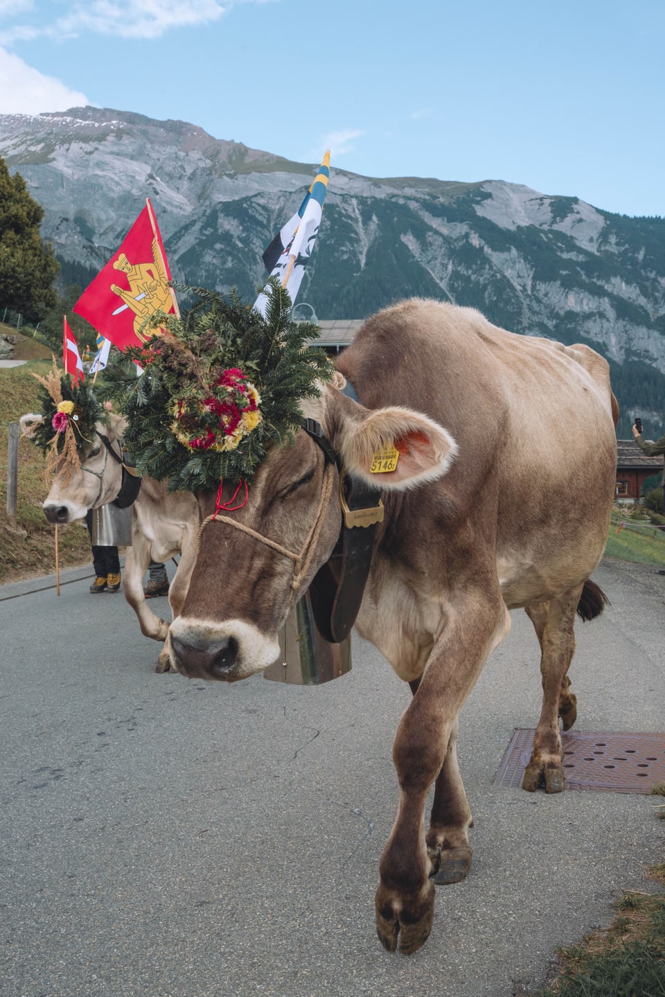 Alpabzug Graubünden Fidaz