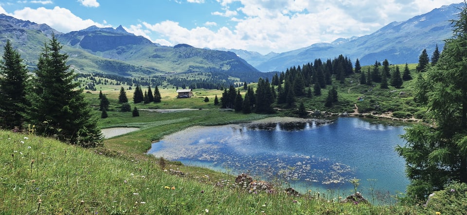 Lai Blau auf der Alp Flex