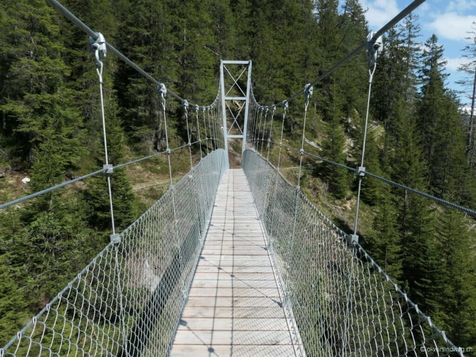 Hängebrücke in einem Waldgebiet