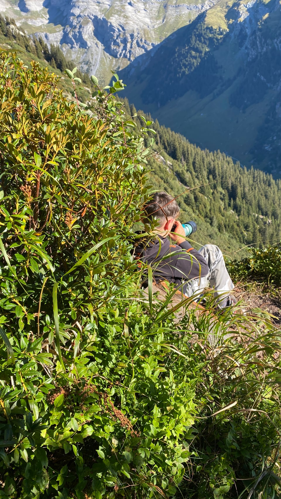 Person auf Bergpfad mit Fernglas inmitten grüner Büsche.