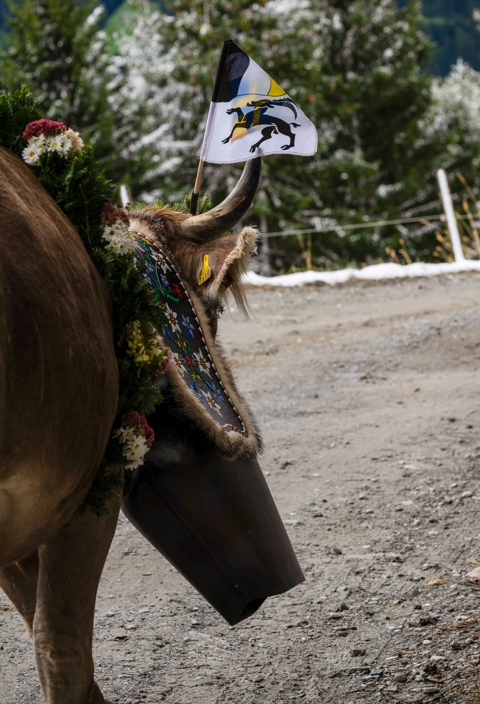 Alpabzug Graubünden  Vals