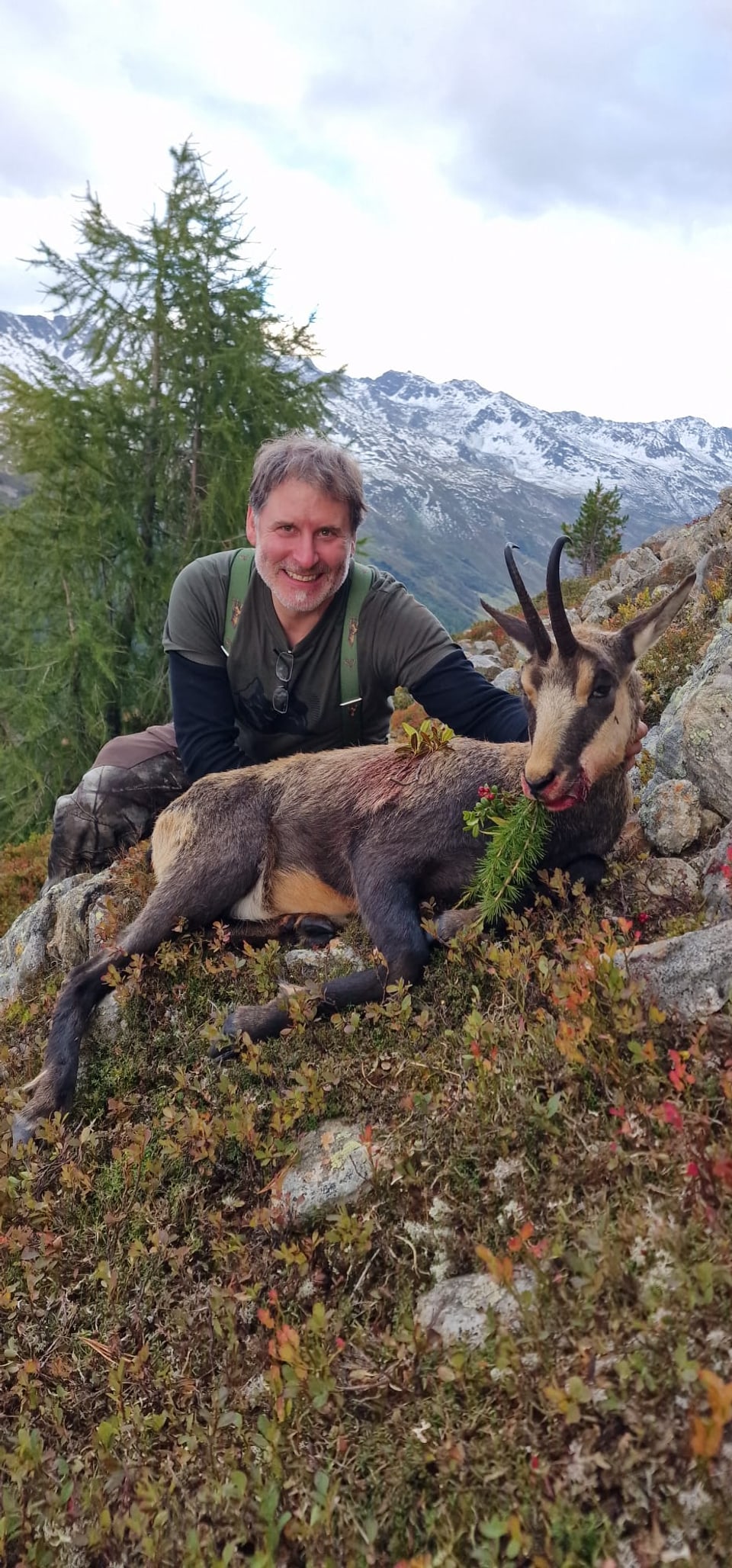 Mann mit erlegtem Gams auf Bergwiese vor schneebedeckten Bergen.