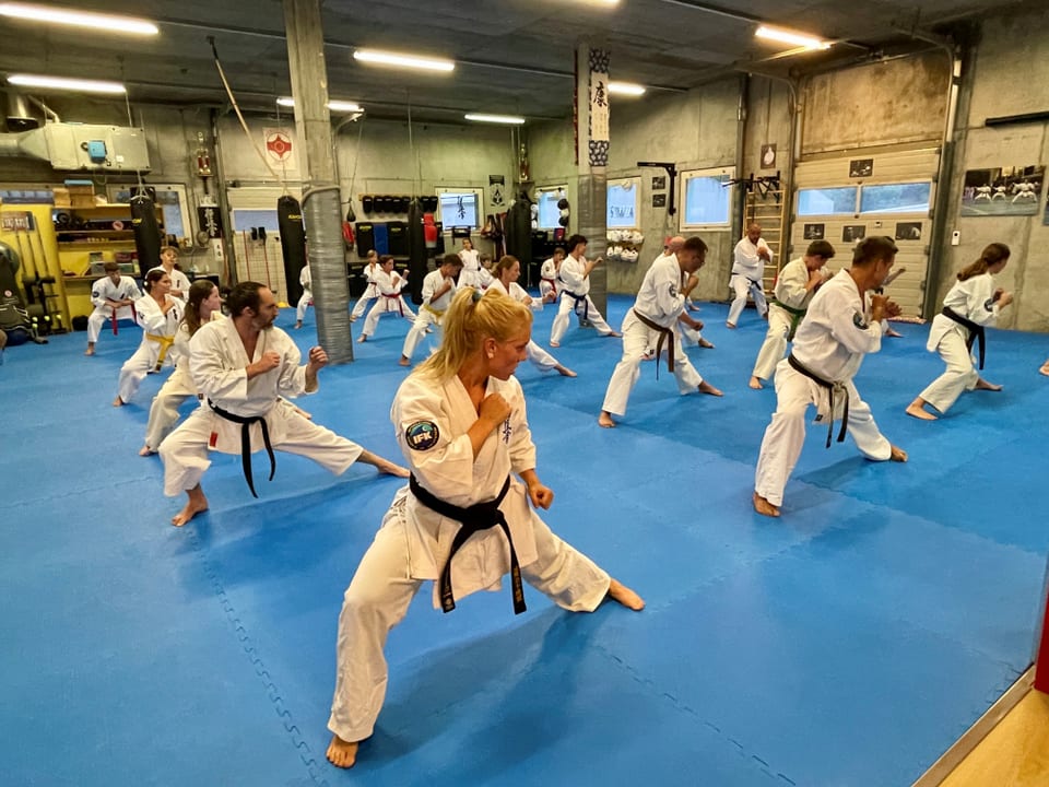 Karateschüler beim Training im Dojo.