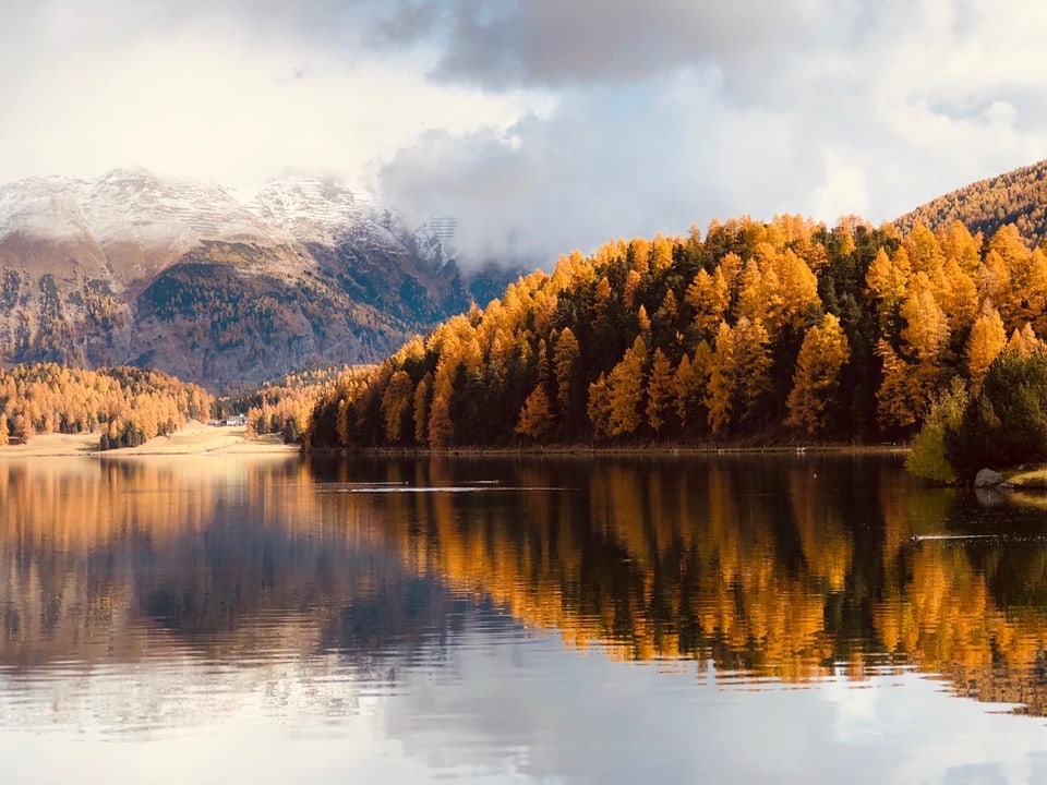 Herbstwald spiegelt sich in ruhigem See mit Bergen im Hintergrund.