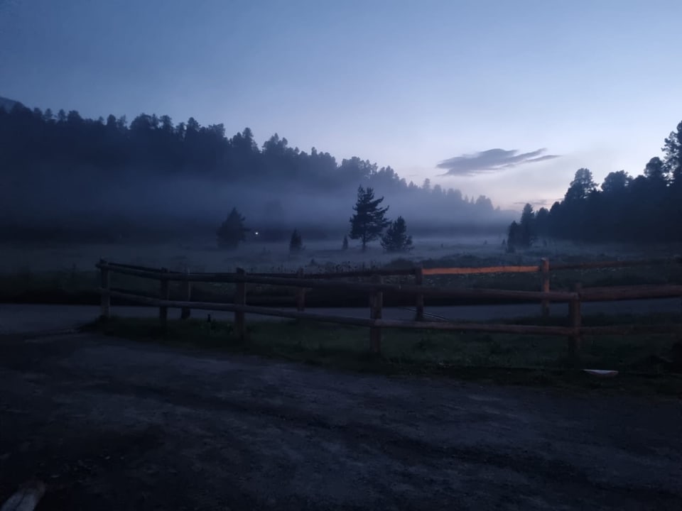 Nebel über einer Wiese mit Bäumen im Morgengrauen.