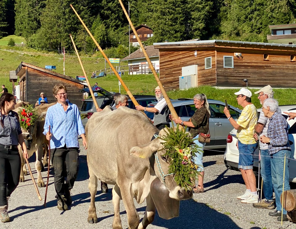 Alpabzug Graubünden Malix