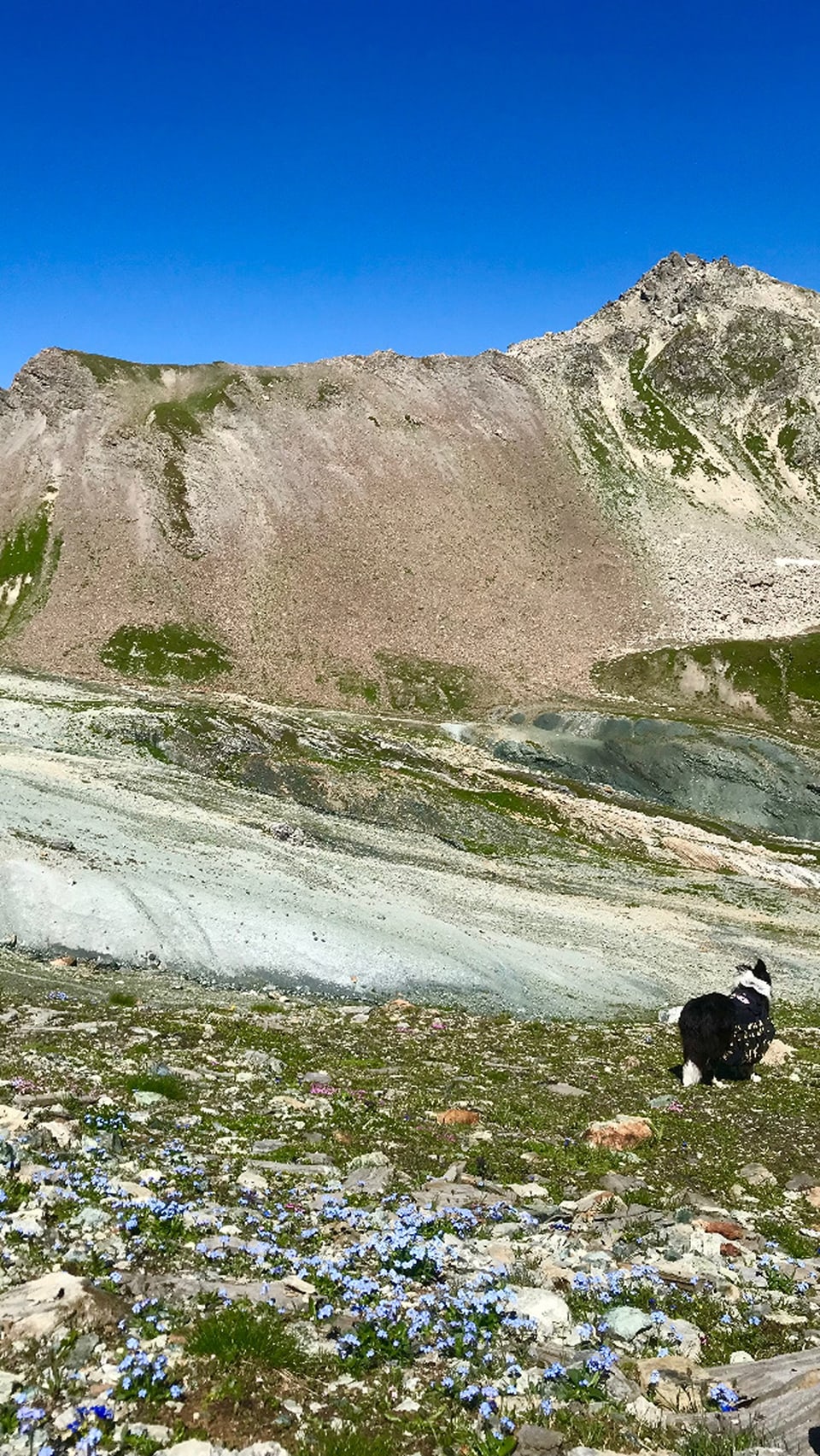 Der Piz Lunghin nordwest von Maloja an einem schönen Sommertag