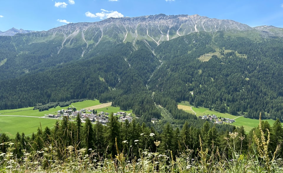 Blick auf Berglandschaft mit Wald und Dorf im Tal.