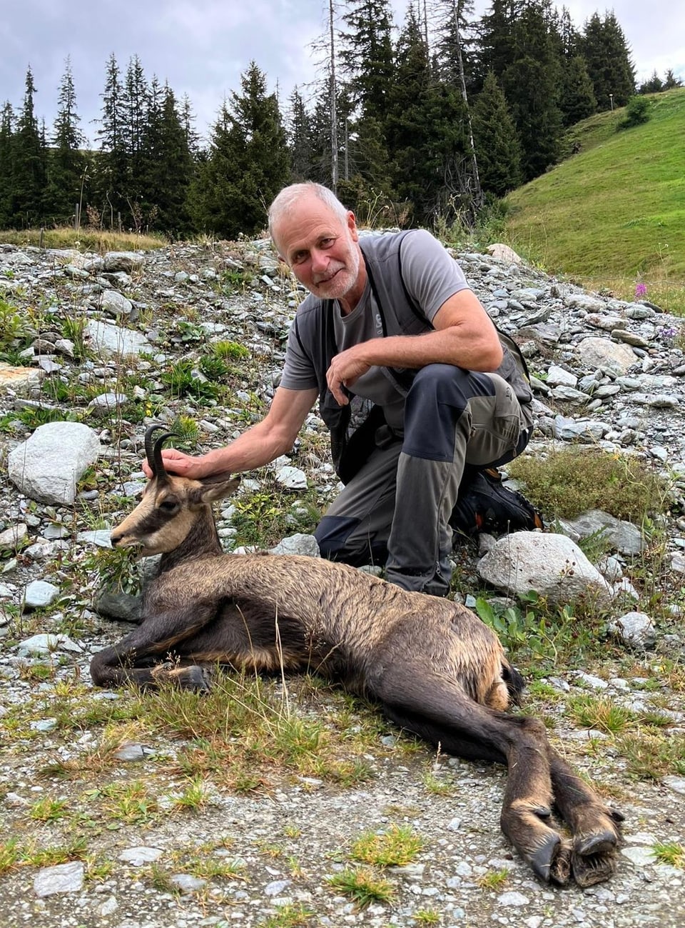 Mann kniet neben einem liegenden Gams in den Bergen.