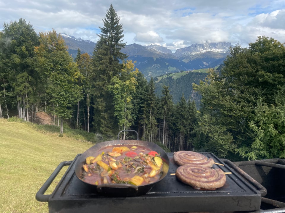 Grillen auf einer Wiese mit Blick auf die Alpen.