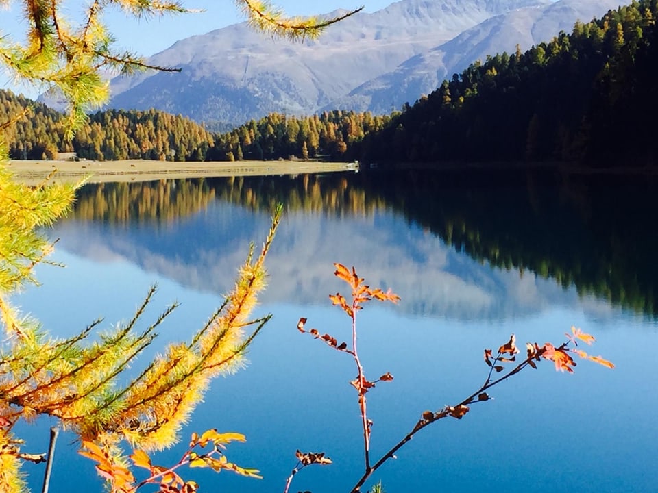 Bergsee mit Herbstbäumen, Berge im Hintergrund.