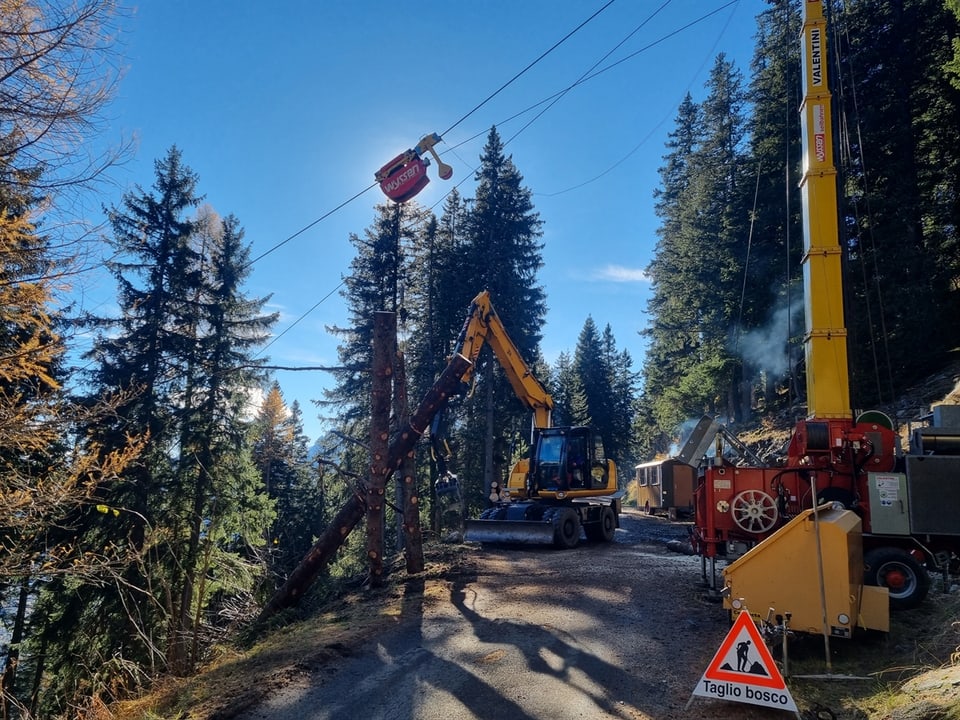 Grosses Engagement und viel Pflege für den Bündner Wald.