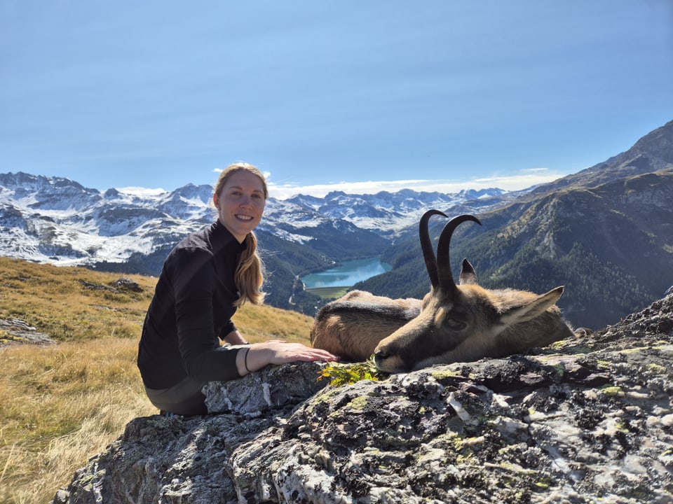 Frau auf Berggipfel mit Gämse in den Alpen.