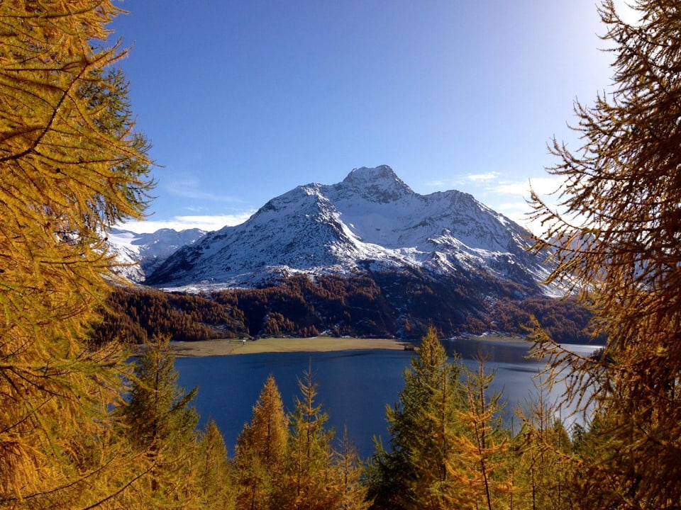 Verschneiter Berg am Seeufer mit herbstlichen Bäumen.