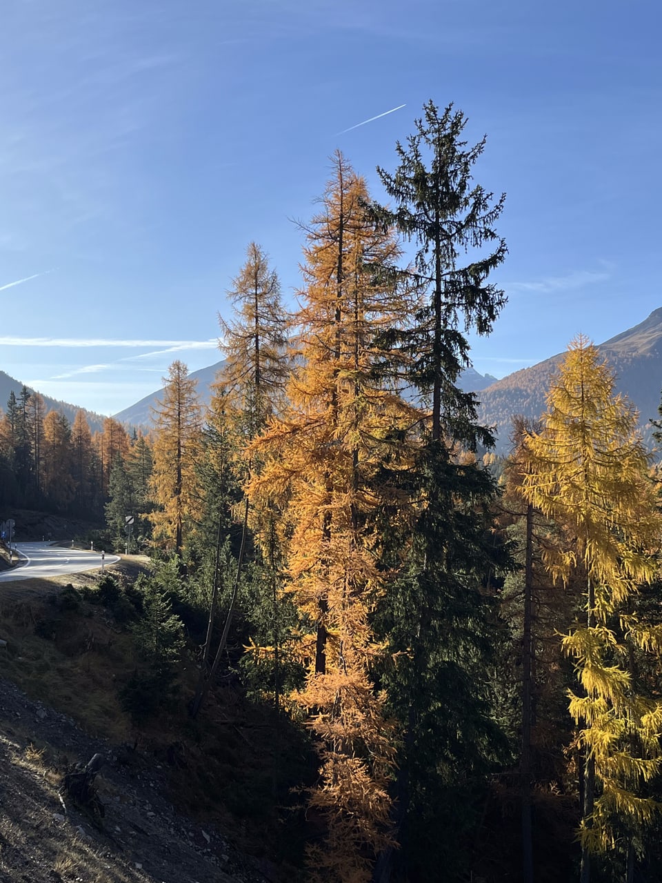 Berglandschaft mit herbstlichen Bäumen.