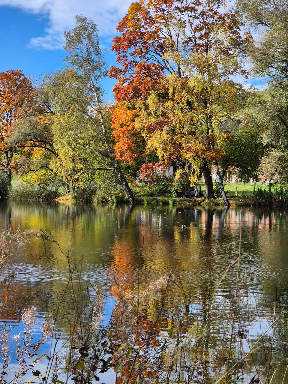 Herbstbäume spiegeln sich in einem See.