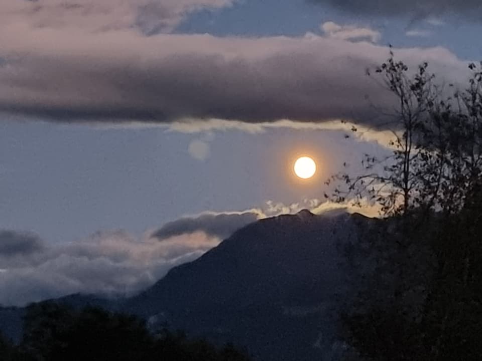 Vollmond über einem Berg mit Wolken und Bäumen.