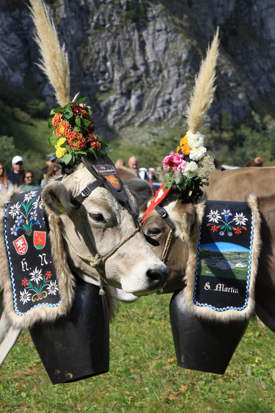 Alpabzug Graubünden Flimserstein