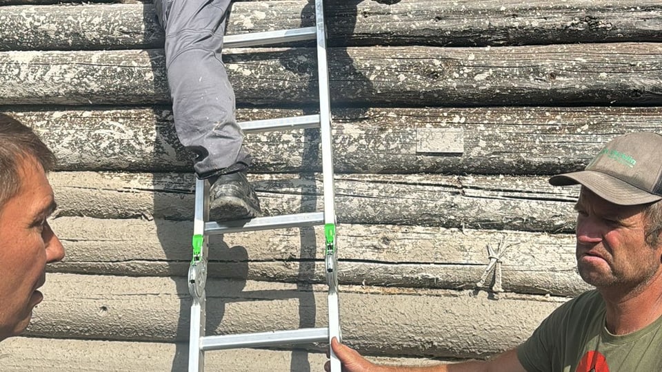 Zwei Männer neben Leiter, Baumstämme im Hintergrund.