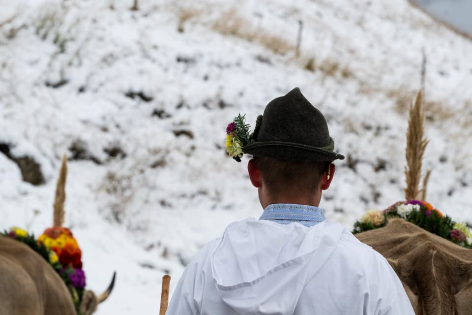 Alpabzug Graubünden Vals