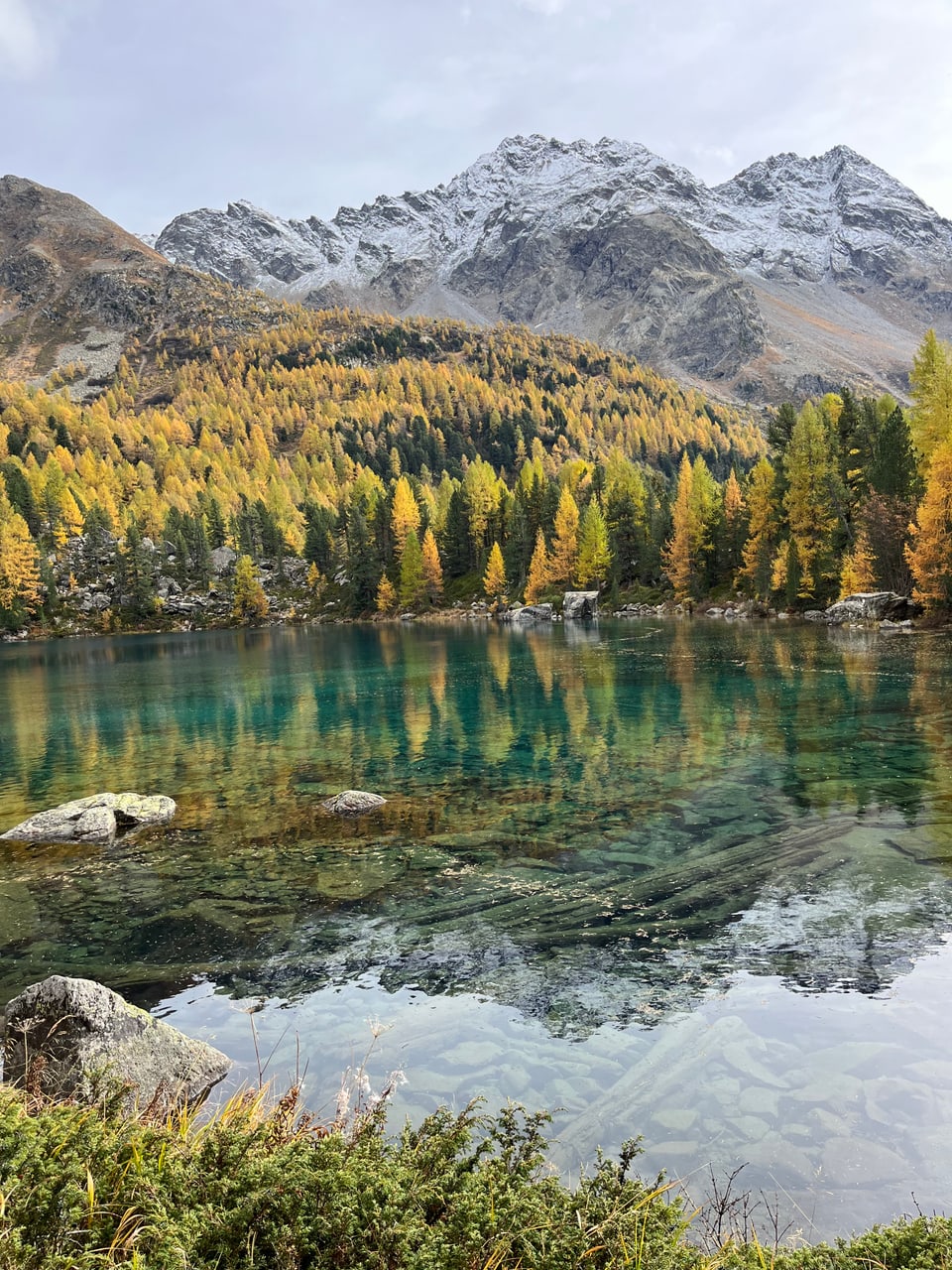 Klarer Bergsee mit herbstlichen Bäumen und schneebedeckten Bergen im Hintergrund.