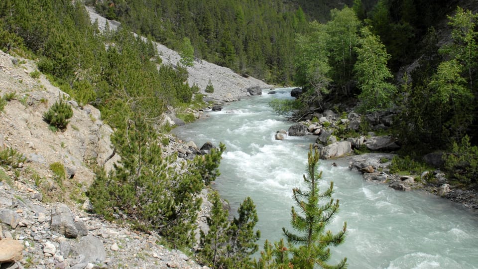 Fluss in einem bewaldeten Bergtal.