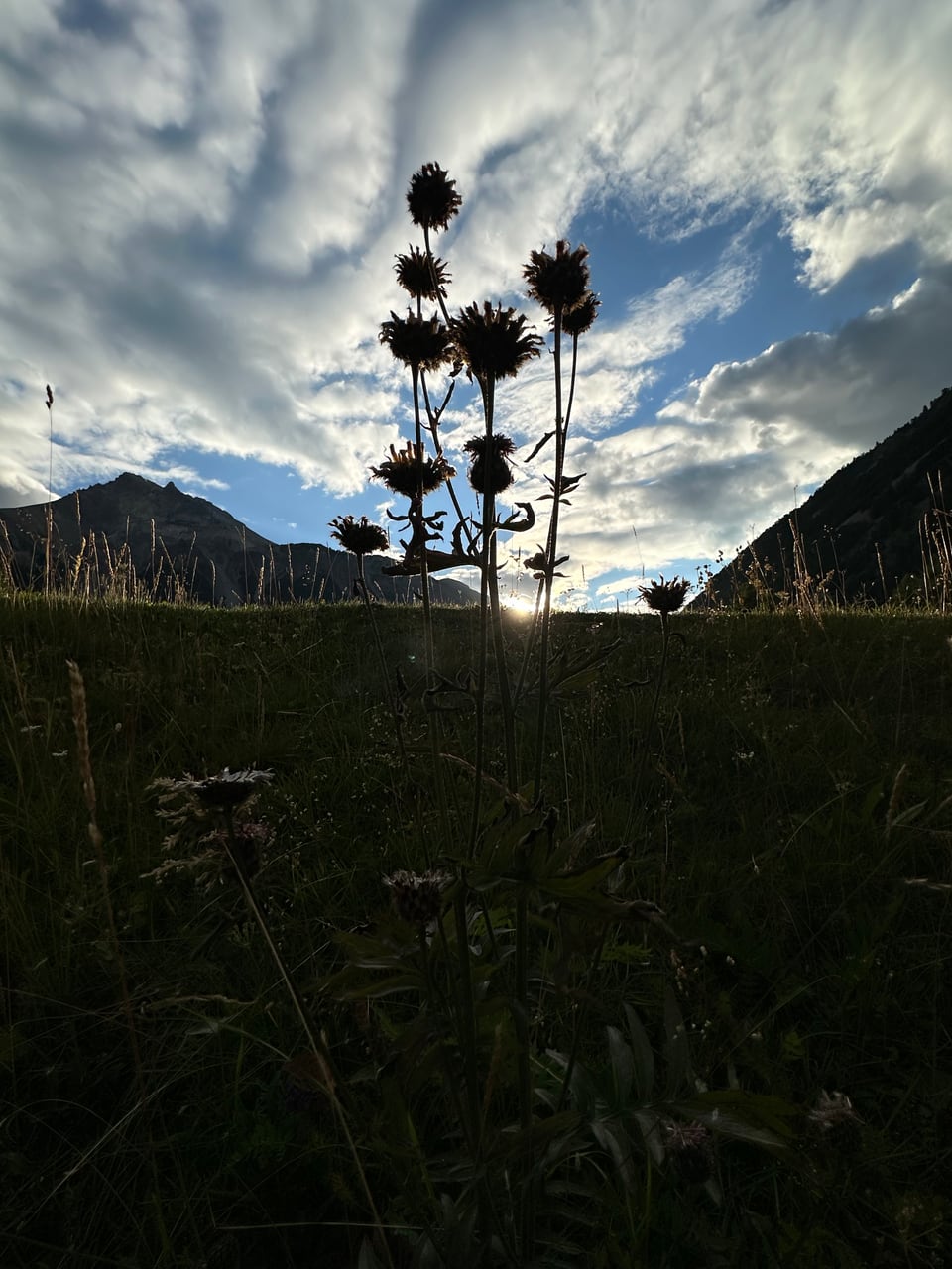 Sonnenuntergang in Tschierv.