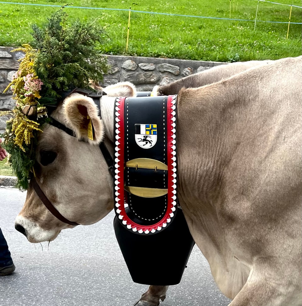 Alpabzug im Müstair