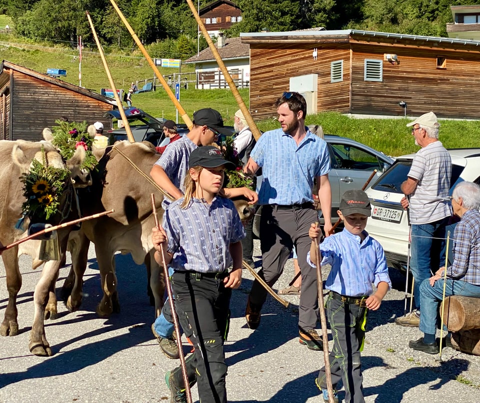 Alpabzug Graubünden Malix