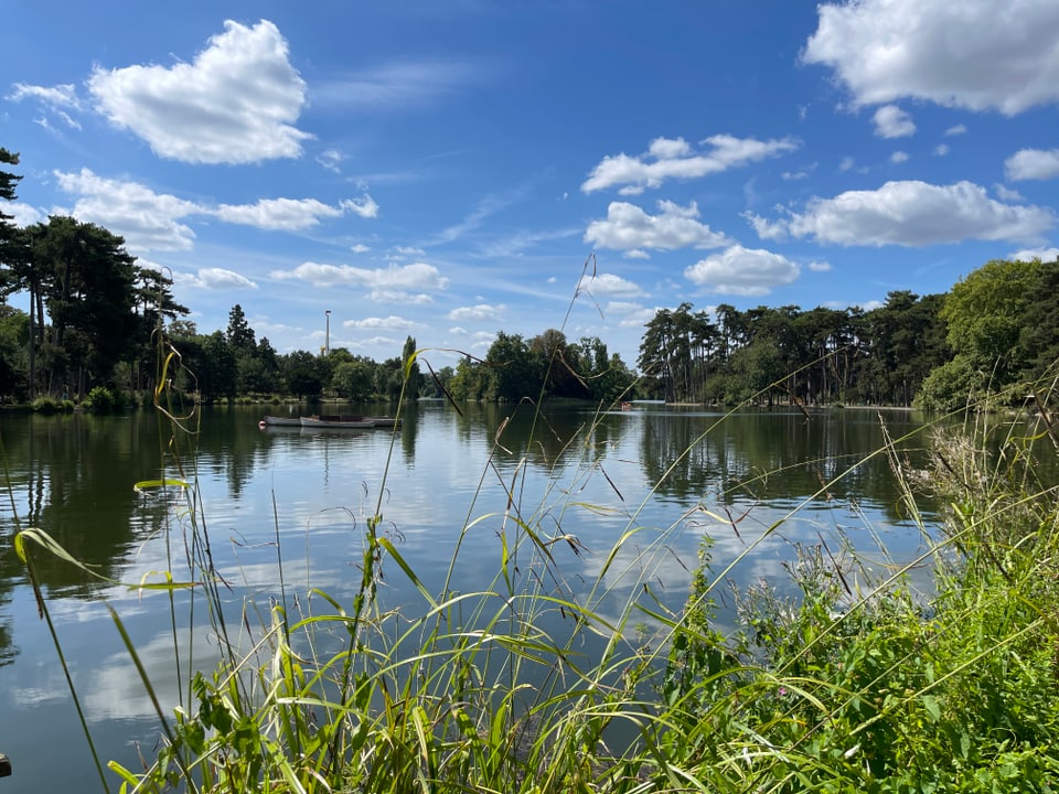 Paris 2024: Bois de Boulogne