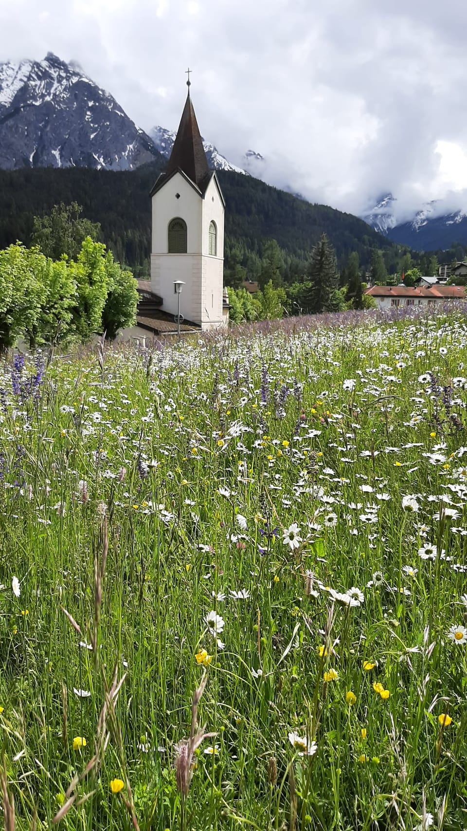 Kirche in einer Blumenwiese vor schneebedeckten Bergen.
