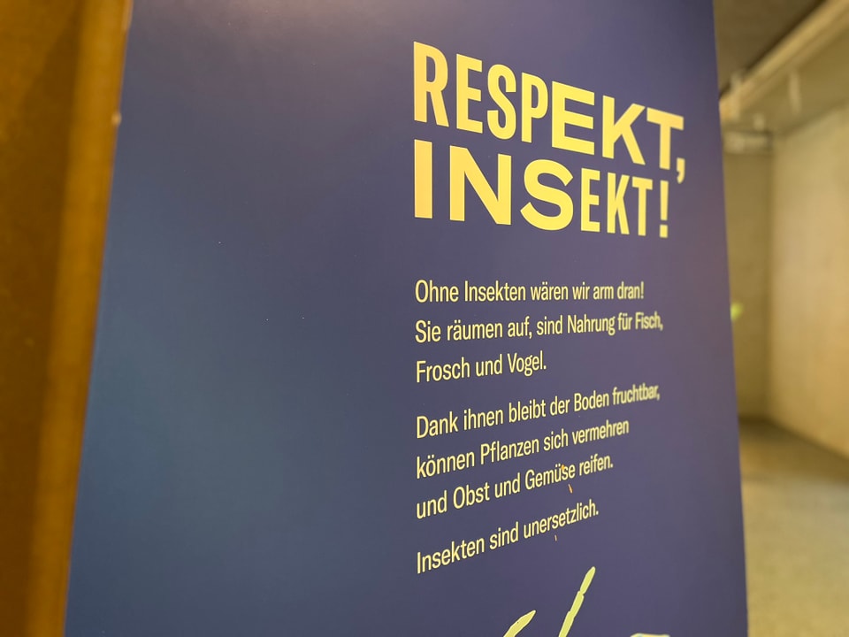 Plakat mit dem Text 'Respekt, Insekt!'