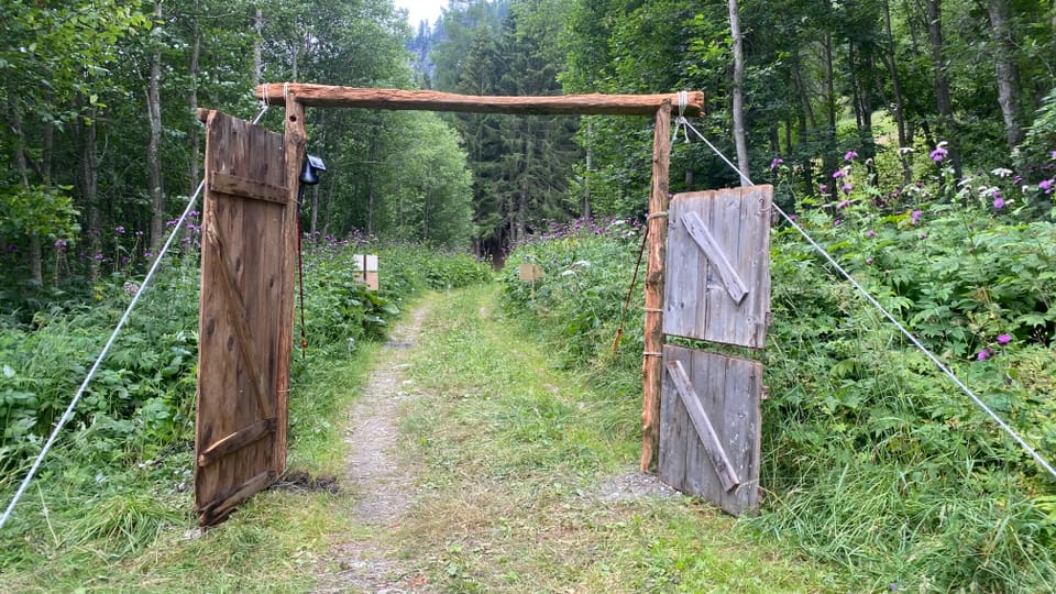 Il portal d'entrada sin l'areal dal festival.