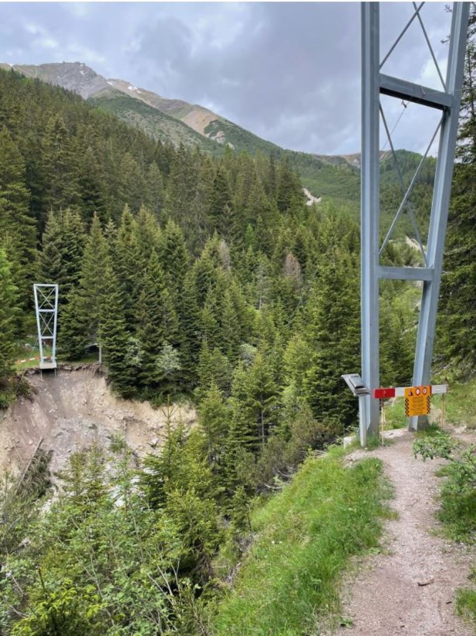 Hängebrücke über bewaldete Schlucht in den Bergen.