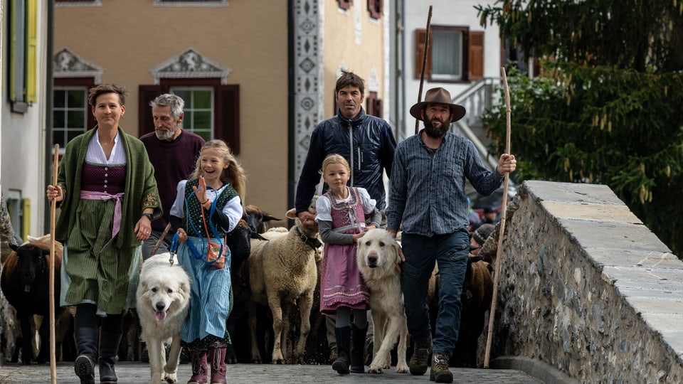 Alpabzug in Graubünden