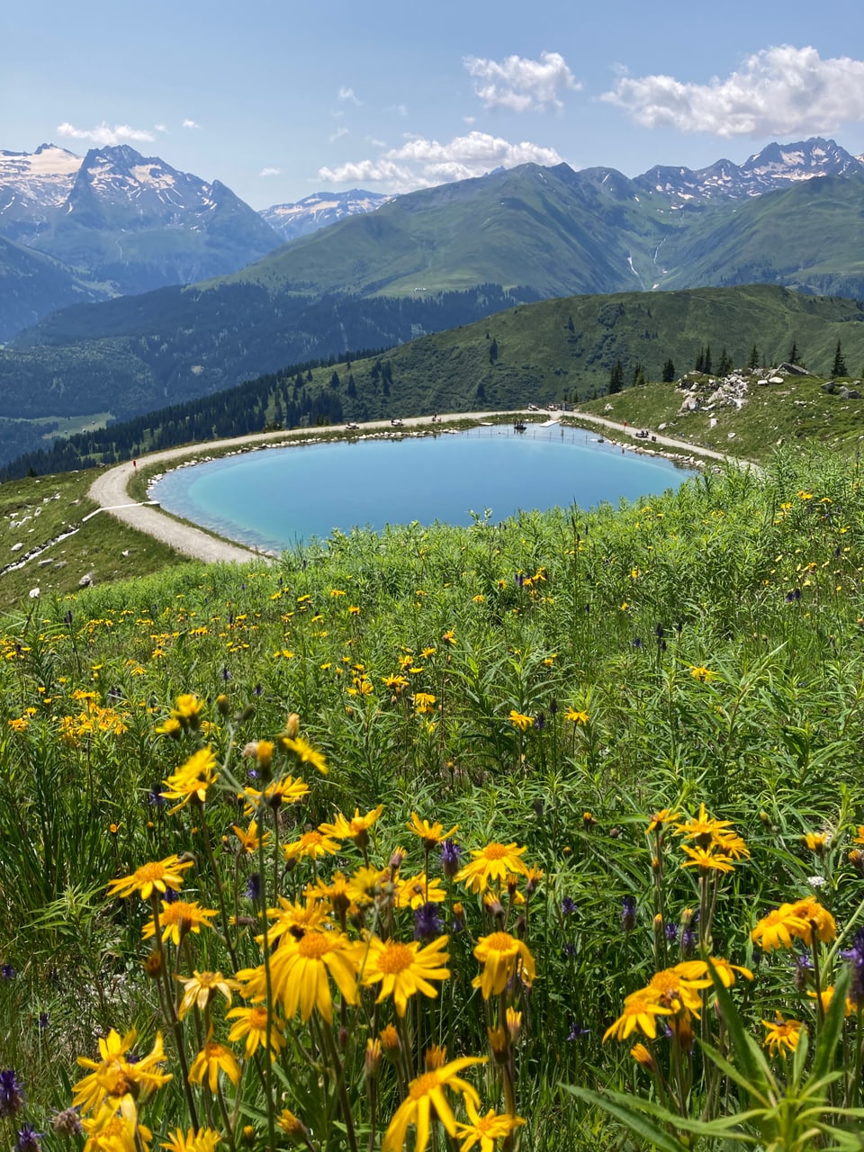 Bergsee mit gelben Wildblumen im Vordergrund.