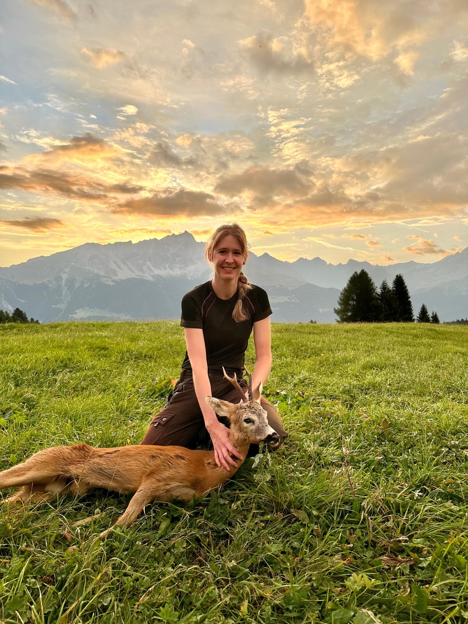 Frau hält Reh auf grüner Wiese bei Sonnenuntergang und Bergen im Hintergrund.