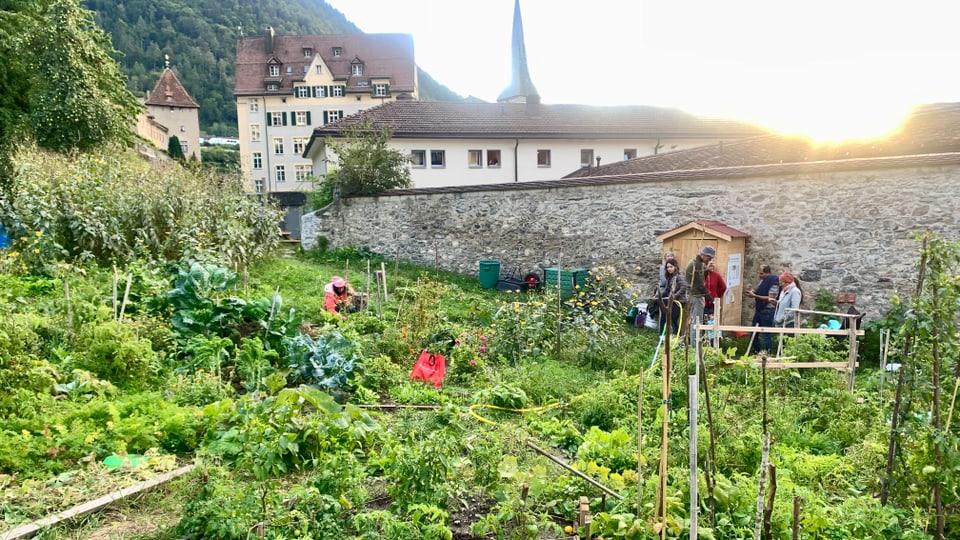 In den Gärten hinter dem Sennhof wird oftmals so lange gearbeitet, bis die Sonne untergeht.