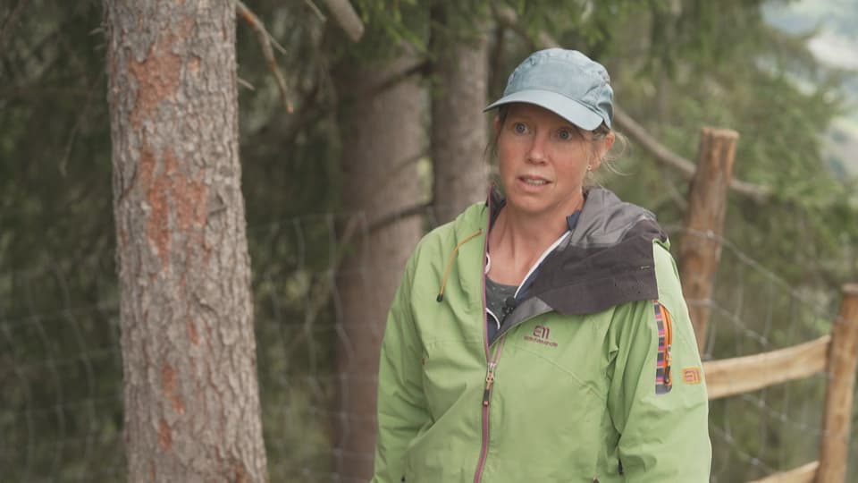 Nora Zürcher hat den Schutzwald Puzzastg analisiert.