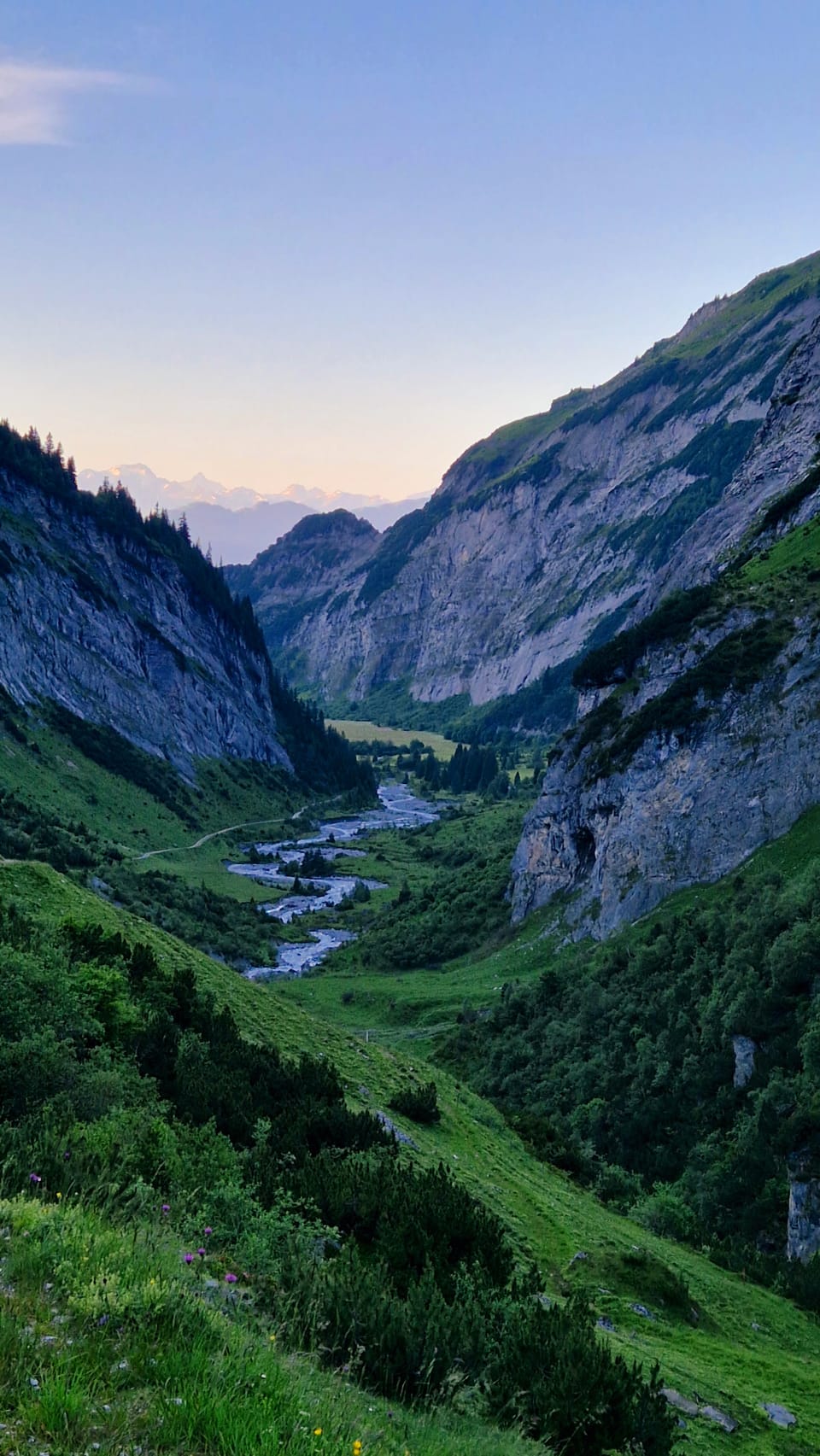 Blick auf grünes Tal mit Fluss und hohen Bergen.