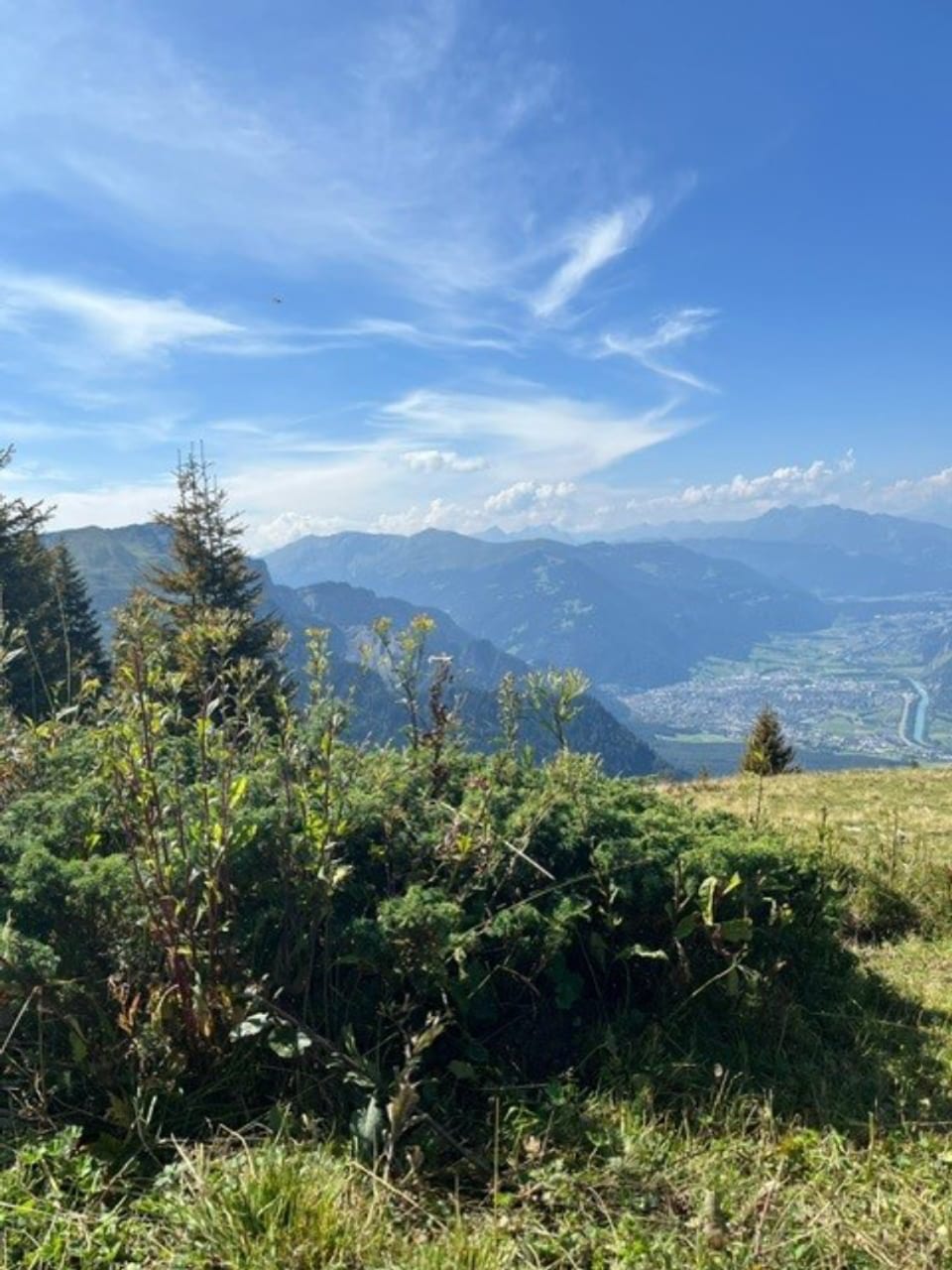 Blick von einem Berggipfel auf einen bewaldeten Abhang und ein Tal bei sonnigem Wetter.