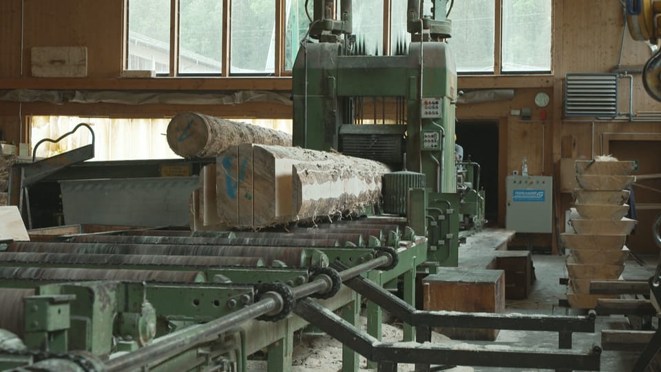 Ein Baumstamm wird von einer Maschine in der Sägerei aufgeschnitten.